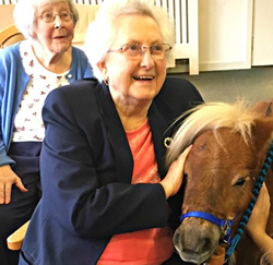 Two miniature Shetland ponies have been spreading their love â€“ and some therapy â€“ after paying a visit to two generations of animal lovers.